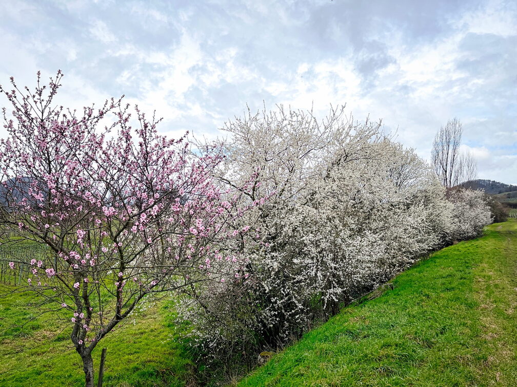 23-03-13 10-51-39 4828